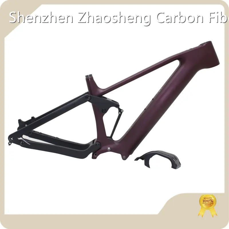 At Sale E Bike Battery Pinaworks by ZSZT 1