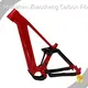 Carbon Fiber Bike S/M/L/XL - for Wholesale - ZSZT 1