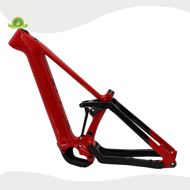 Best E Bike Conversion Kit Pinaworks CEF50new Arrival 1