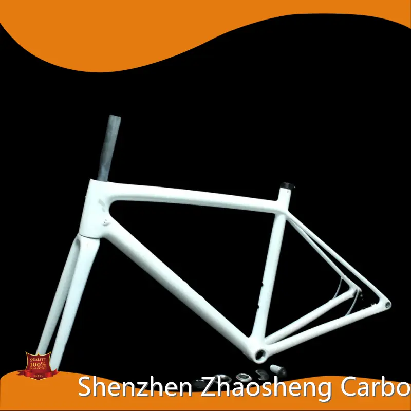 For Sale Carbon Road Bike Frame Disc Brake Pinaworks by ZSZT 1