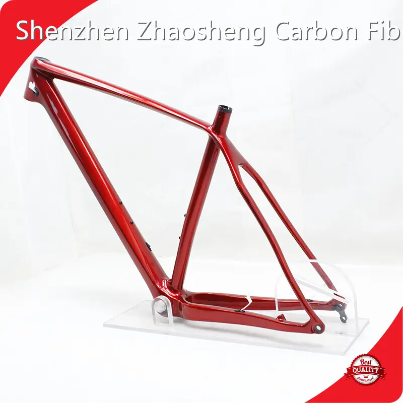 Custom Carbon Fiber Bike Frame Modern design 1
