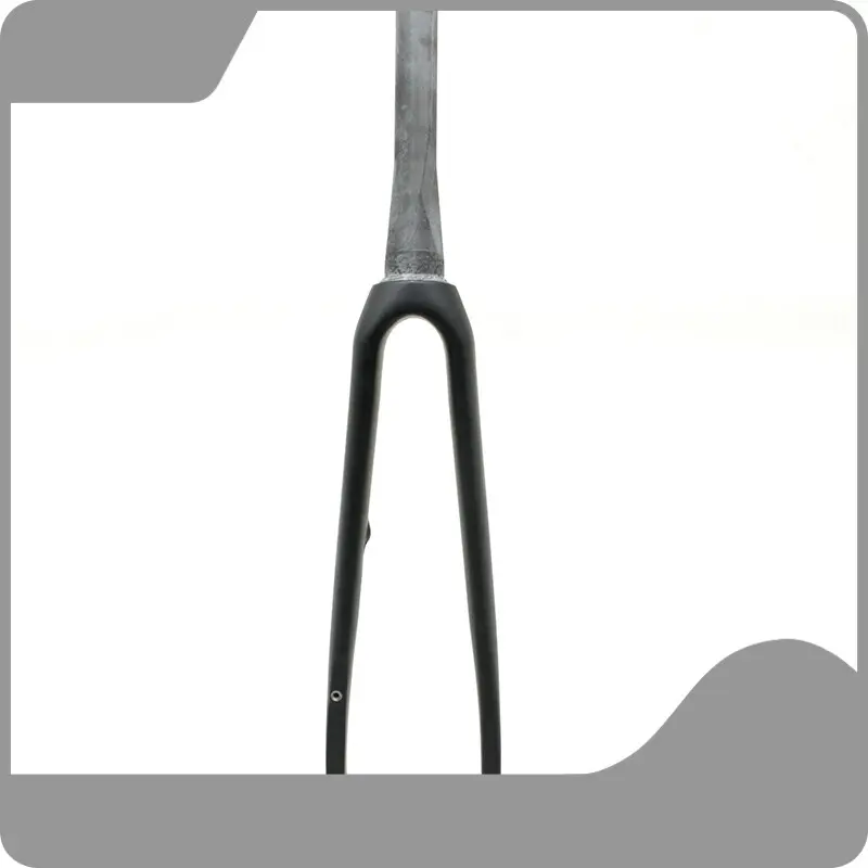 Low-cost Carbon Front Fork Road Bike Modern design Fast Delivery 1