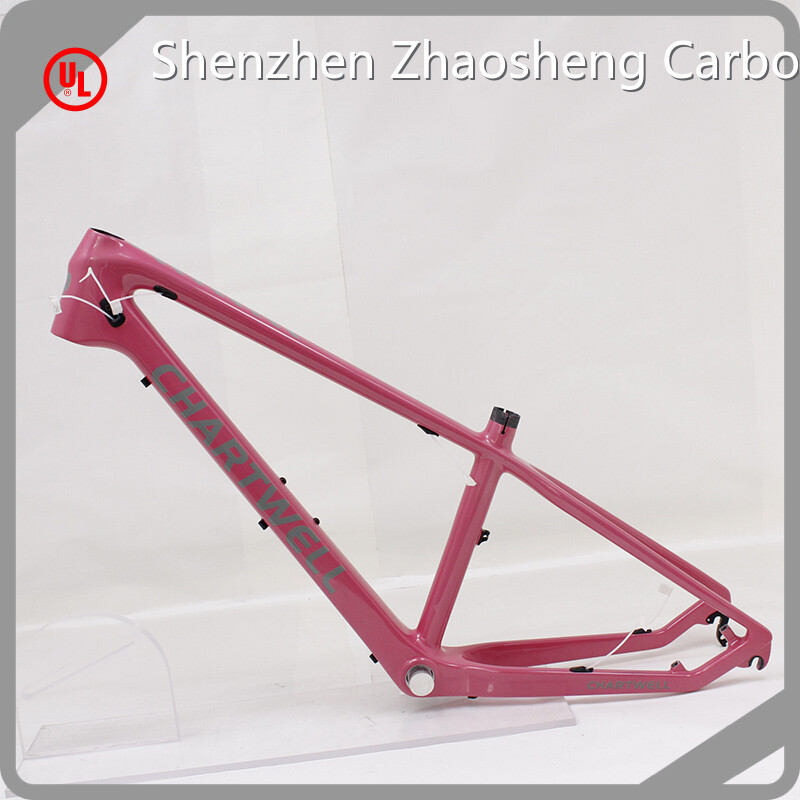 Carbon Fiber Fixie Frame Vendor Bulk Production 1