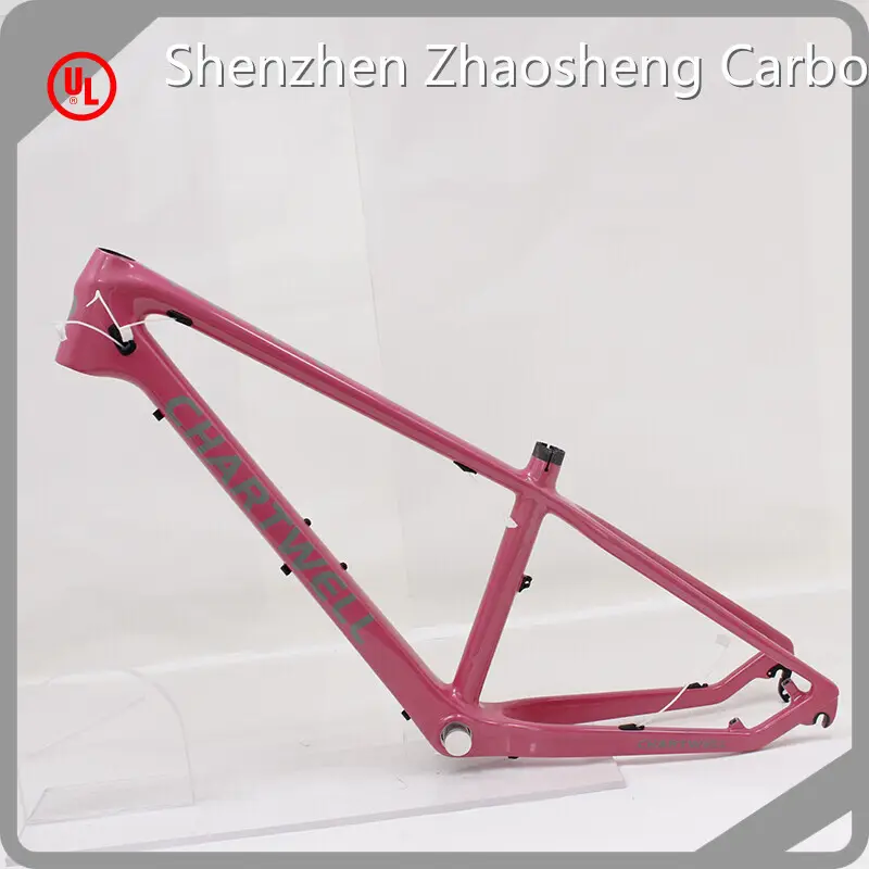 Carbon Fiber Fixie Frame Vendor Bulk Production 1