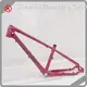 Carbon Fiber Fixie Frame Vendor Bulk Production 1
