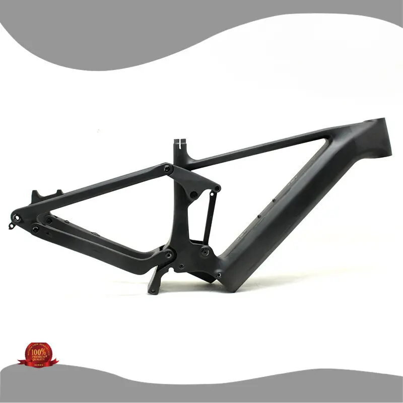 Unique Electric Mountain Bike Frame Price List 1