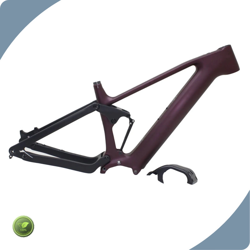 Fashion Carbon Fiber Mountain Bike New Arrival for Different Industries 1