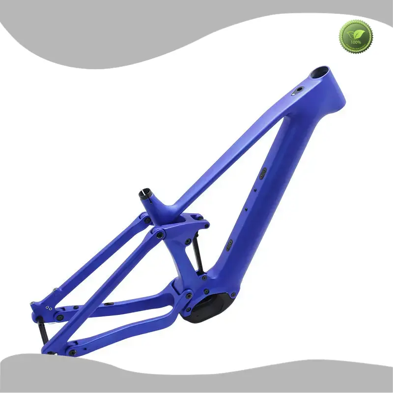 Professional E Bike Frame at Sale 1