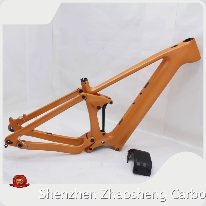 ZSZT Bike Sales Carbon Frame Bike Salesmade in China 1