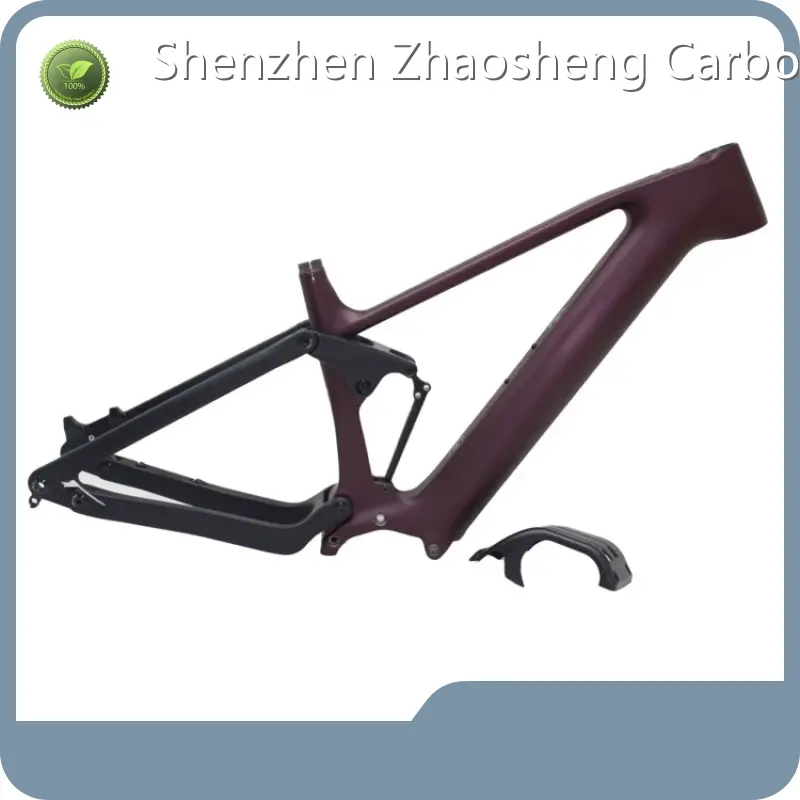 Carbon Fiber Road Bike Disc-brake - for Business - ZSZT 1