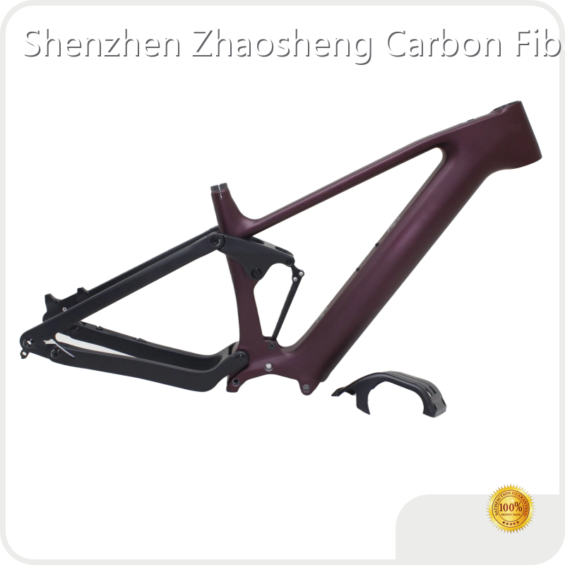 ZSZT E Bike Motor CEF50 E Bike Motormade in China 1