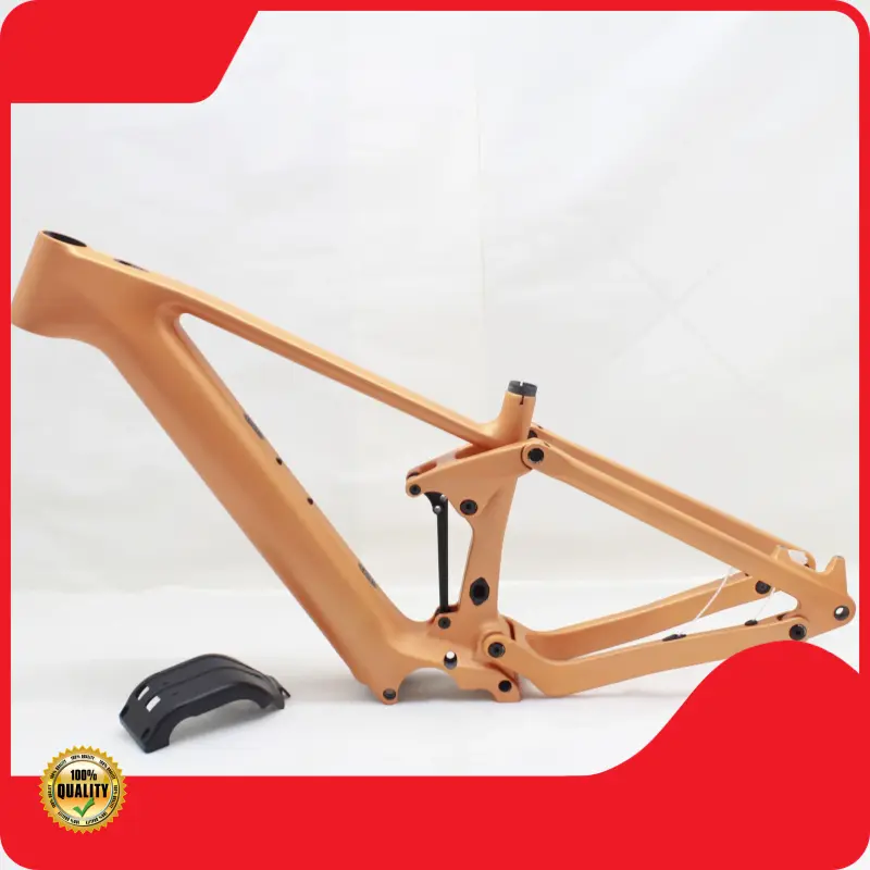 Bike Store Company Pinaworkspersonalized 1