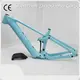 ZSZT E Bike Battery Pinaworksquality Assurance 1