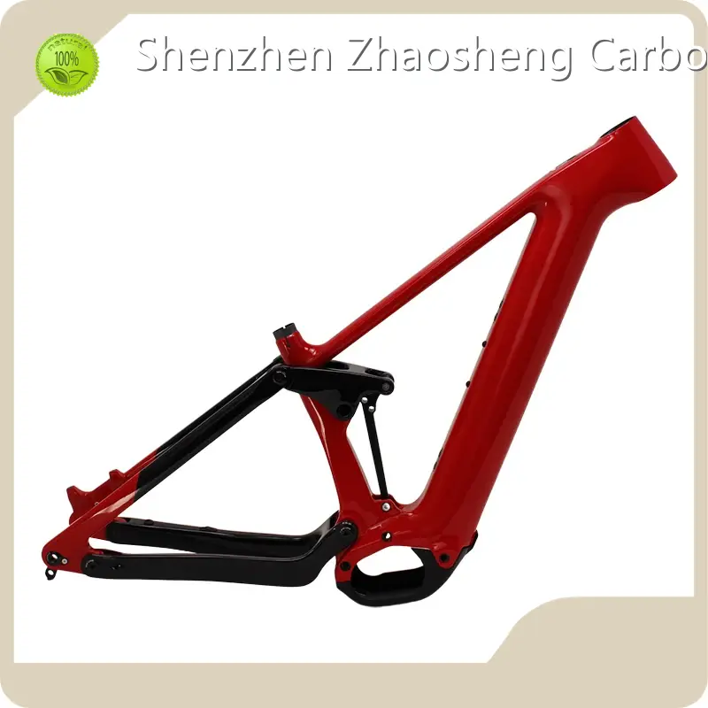 Carbon Fiber Road Bike Frame Pinaworks - for Wholesale - ZSZT 1