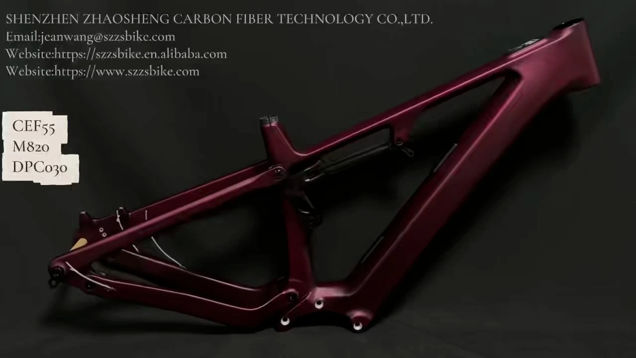 CEF55 Custom Logo M820 Bafang F014 Battery Bafang Mid Drive Electric Bicycle Bafang DPC030 Display 1