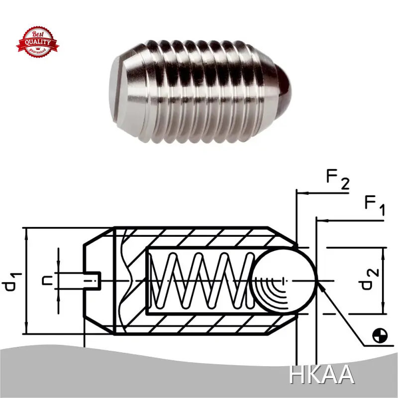 Spring Loaded Plunger Manufacturer HKAA 1