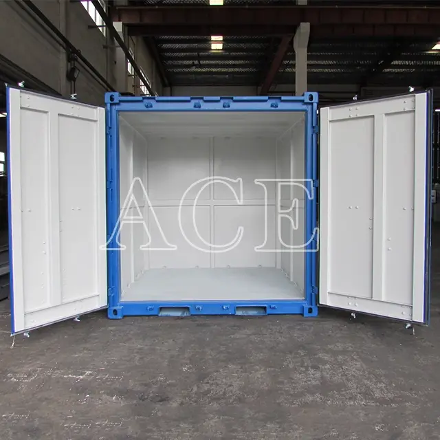 Hotoffshore Reefer Container ACE Container Brand 6