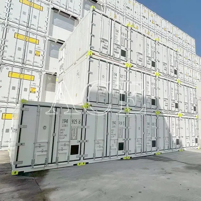 20ft Offshore Container ACE Container, 2