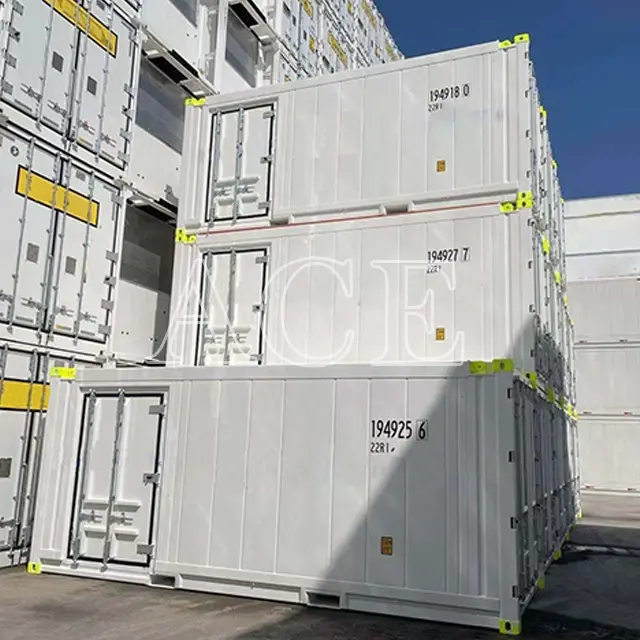 20ft Offshore Container ACE Container, 3