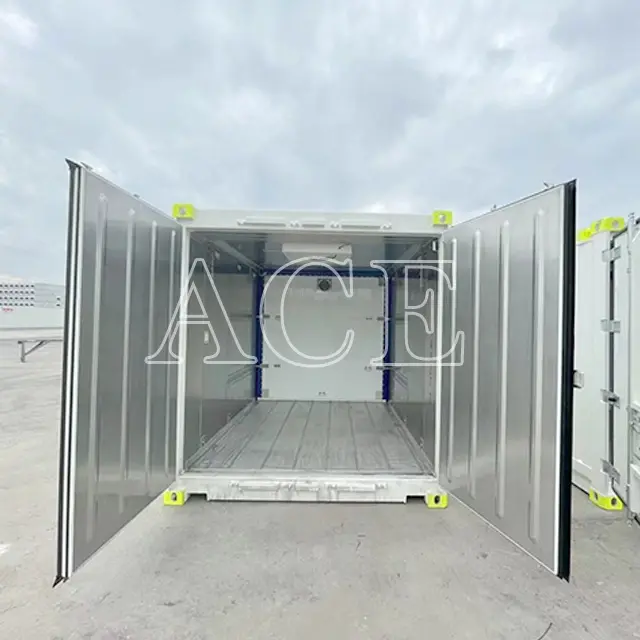 20ft Offshore Container ACE Container, 5