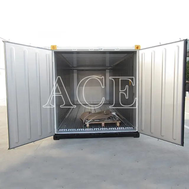 Offshore Dnv Containers OFFRF20 - - ACE Container 5