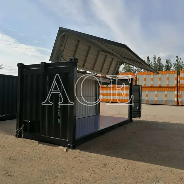 Container Van House by ACE Container 2