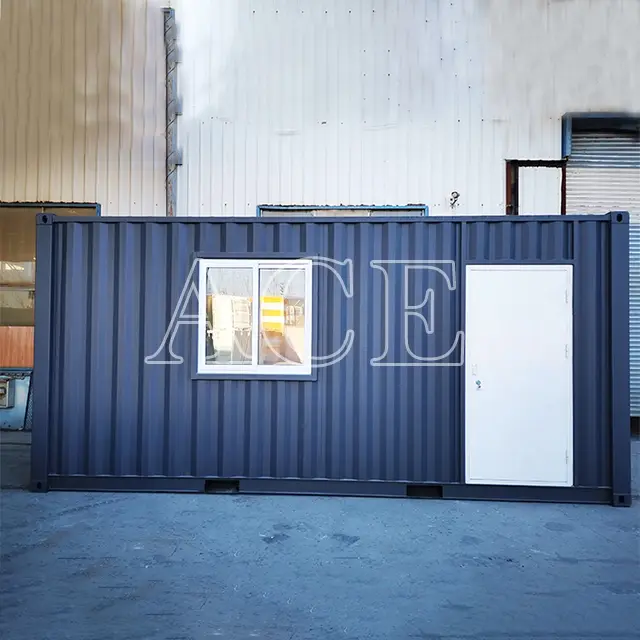 Custom Cargo Container Manufacturers ACE Container 2