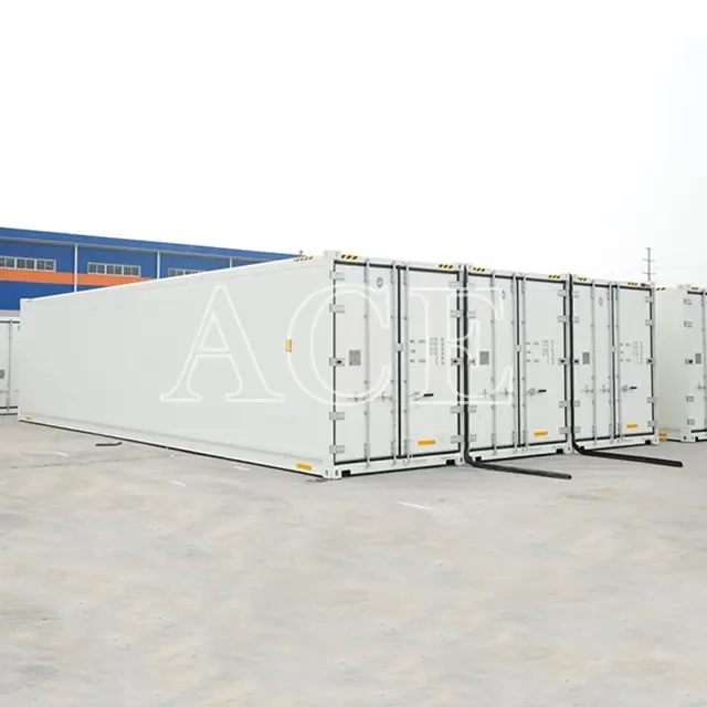 Refrigerated Sea Container ACE Container Company 2