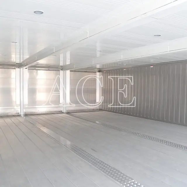 Refrigerated Sea Container ACE Container Company 6