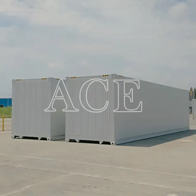 Hotrefrigeration Containers 40RH/FC ACE Container Brand 2