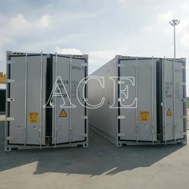 Hotrefrigeration Containers 40RH/FC ACE Container Brand 6