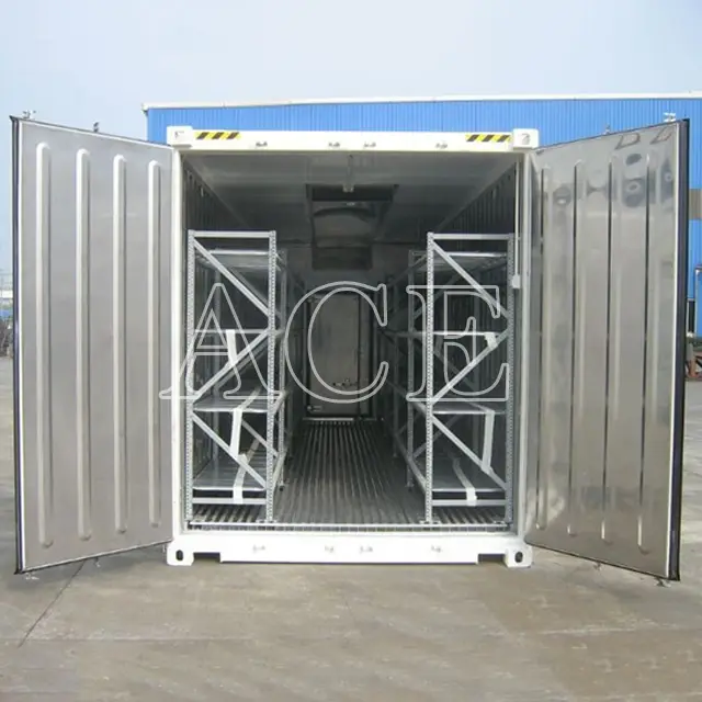 20ft Reefer Container 20RF/DD by ACE Container 5