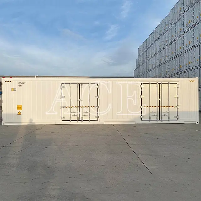 Refrigerated Container Manufacturers ACE Container Manufacture 40RH/SD 5