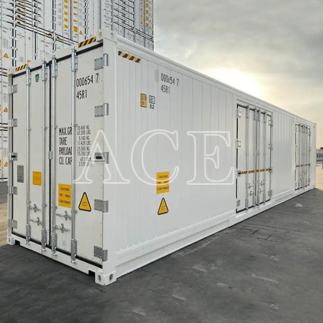 Refrigerated Container Manufacturers ACE Container Manufacture 40RH/SD 6