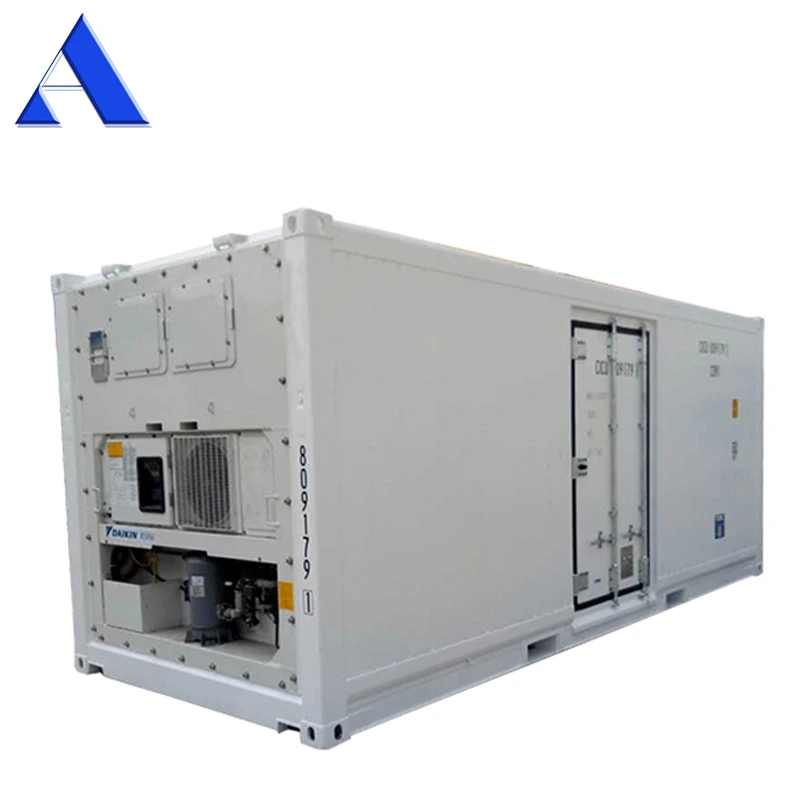 Double Cooler Open Side Door 20ft Reefer Container 1