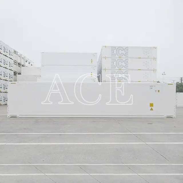 10ft Refrigerated Container for Sale 45RH Wholesale - ACE Container 2