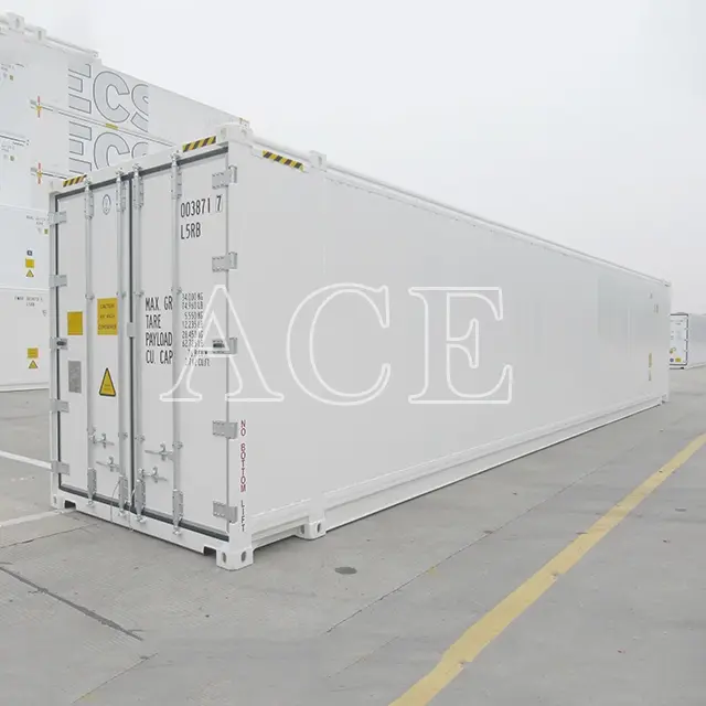 10ft Refrigerated Container for Sale 45RH Wholesale - ACE Container 4
