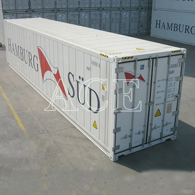 Reefer Container Supplier 40RH by ACE Container 2
