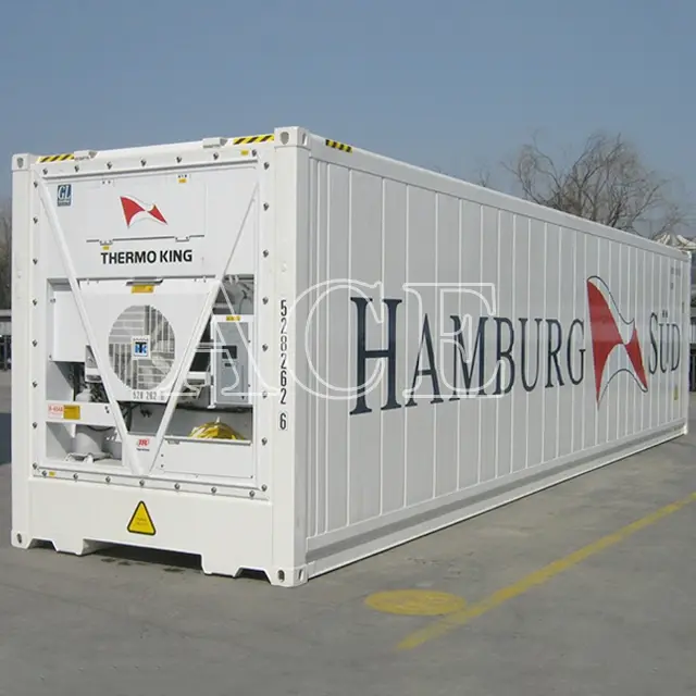 Reefer Container Supplier 40RH by ACE Container 3