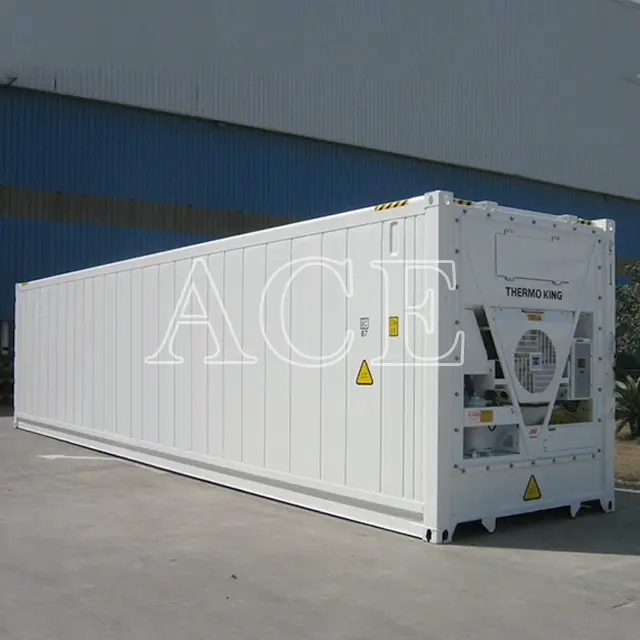 Reefer Container Supplier 40RH by ACE Container 4