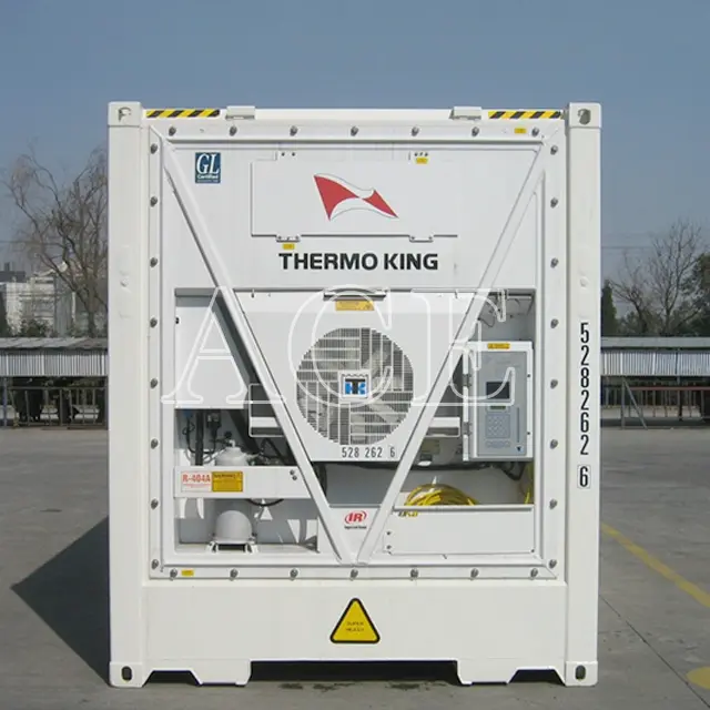 Reefer Container Supplier 40RH by ACE Container 5
