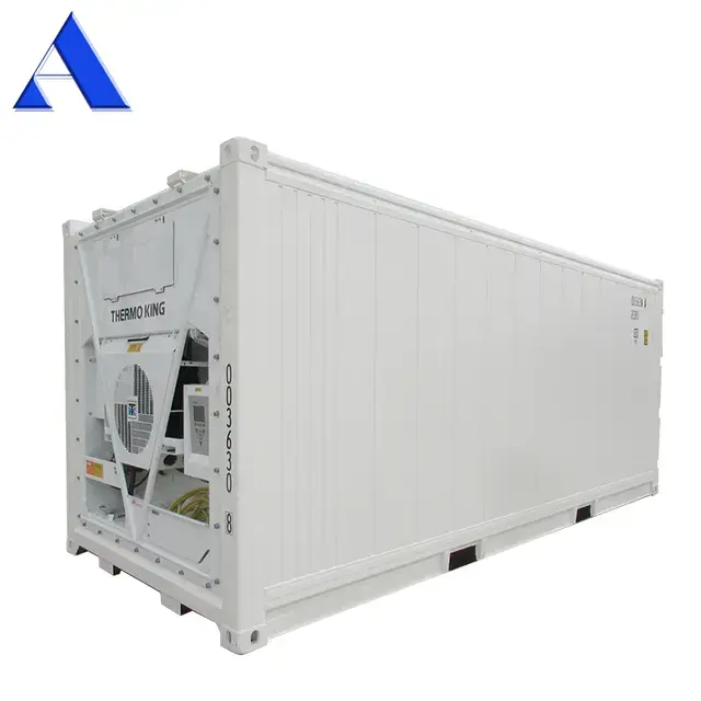Customizing Reefer Containers For Specialized Needs 1