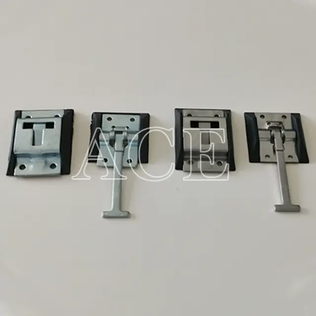 Custom Twistlocks Containers ACE Container 6