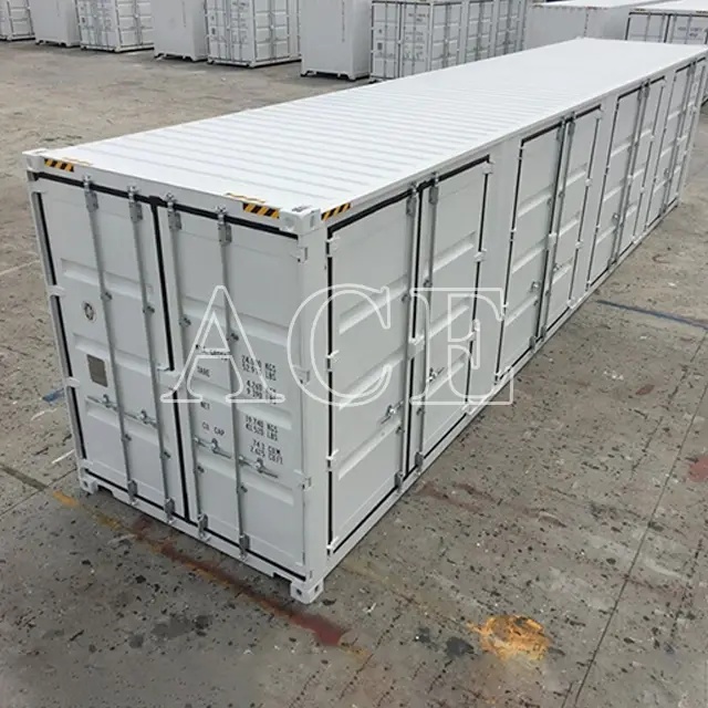 40ft Container ACE Container,40HC 3