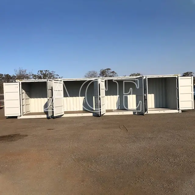 40ft Container ACE Container,40HC 4