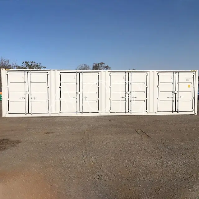 40ft Container ACE Container,40HC 5