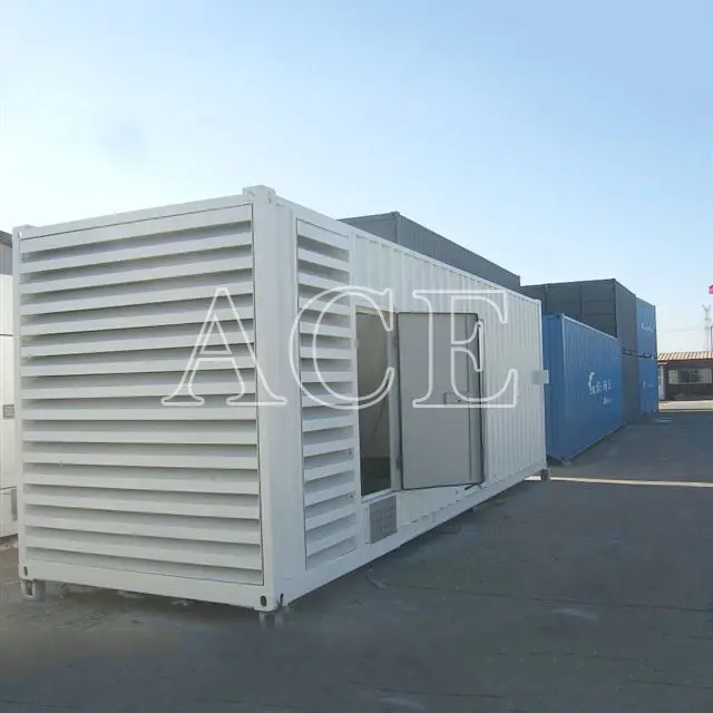 ACE Container Shipping Containers for Sale - 4