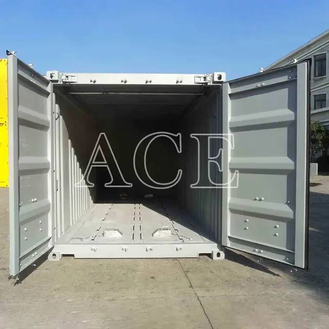 ACE Container 20 Ft Container for Sale - 2