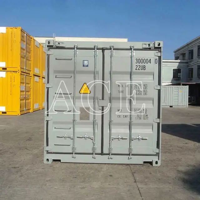 ACE Container 20 Ft Container for Sale - 5