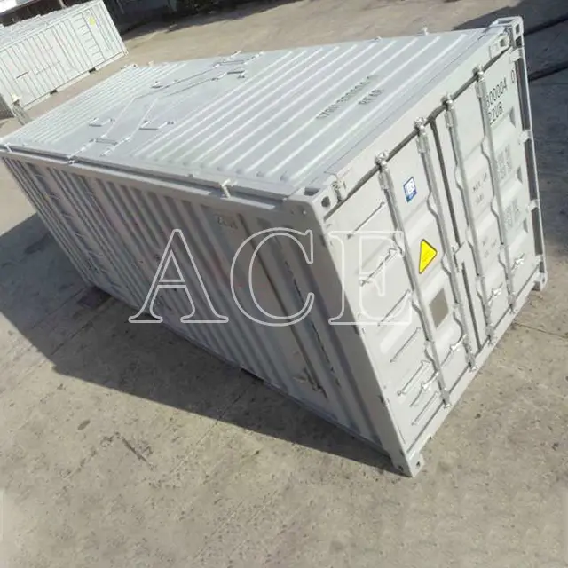ACE Container 20 Ft Container for Sale - 6